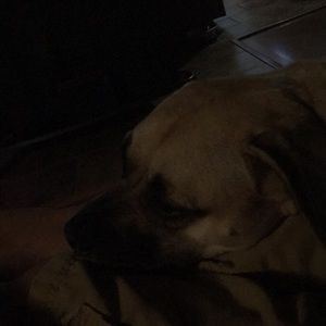 Meet your Posher, Christin